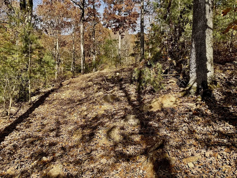 0 Forrest Crossing Waverly, TN 37185