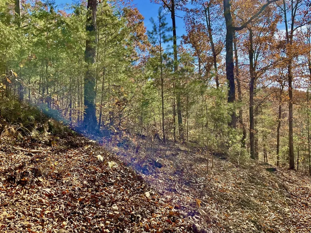 0 Forrest Crossing Waverly, TN 37185