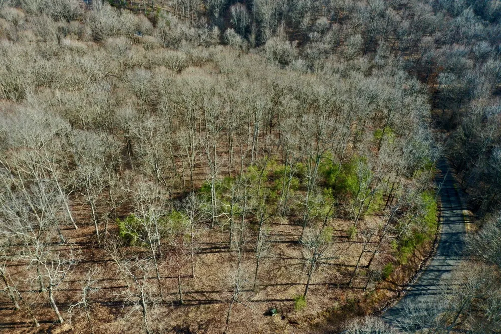 0 Forrest Crossing Waverly, TN 37185
