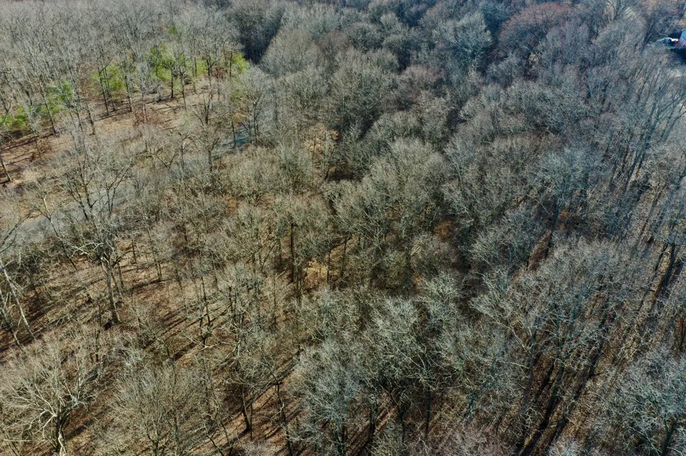 0 Forrest Crossing Waverly, TN 37185