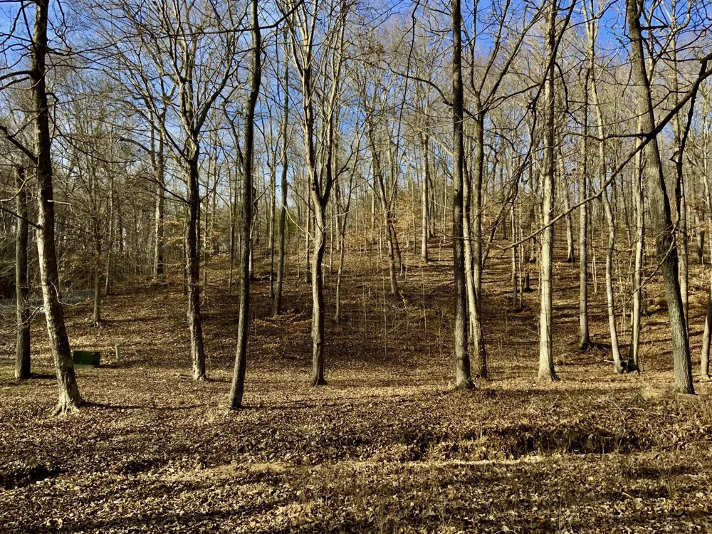 0 Forrest Crossing Waverly, TN 37185