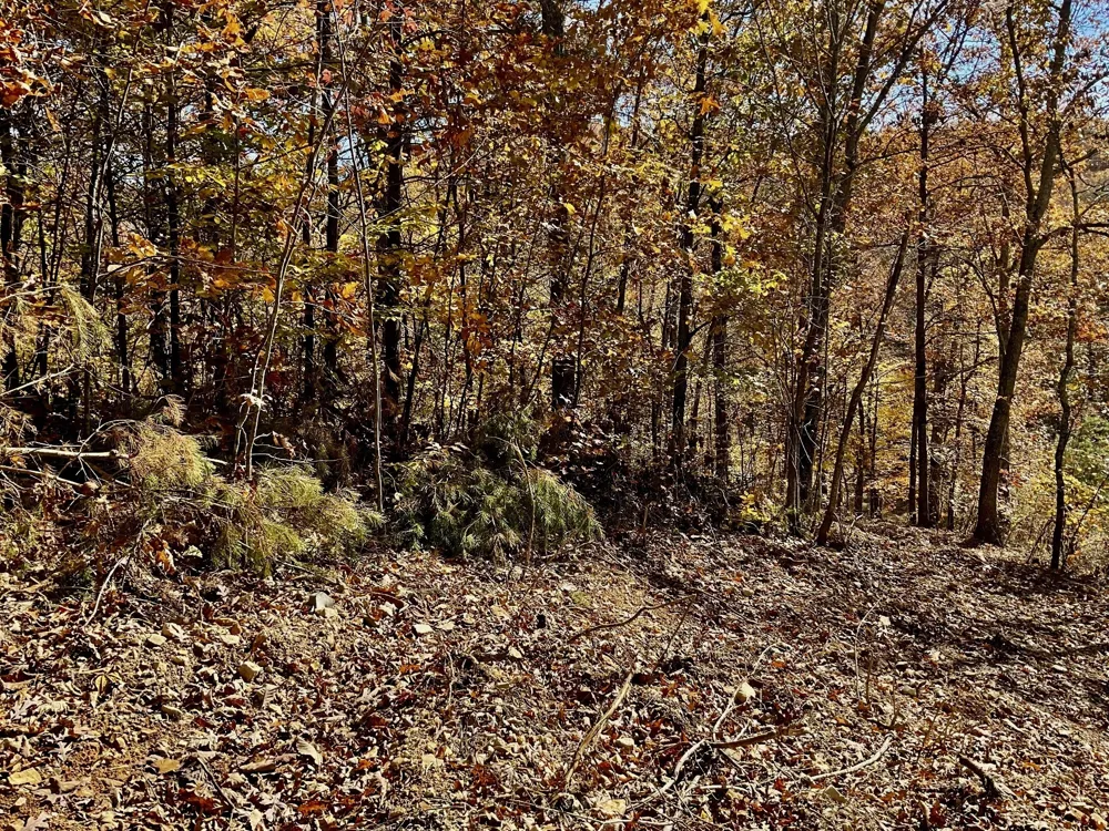 0 Forrest Crossing Waverly, TN 37185