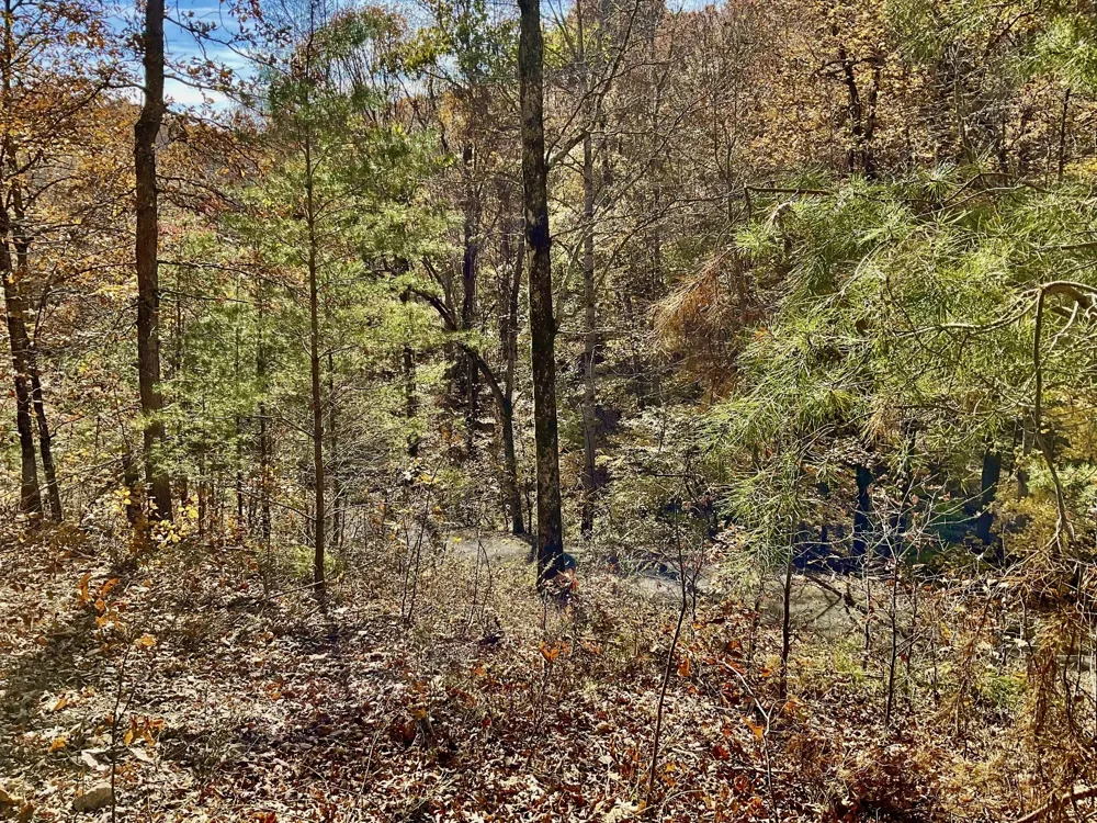 0 Forrest Crossing Waverly, TN 37185