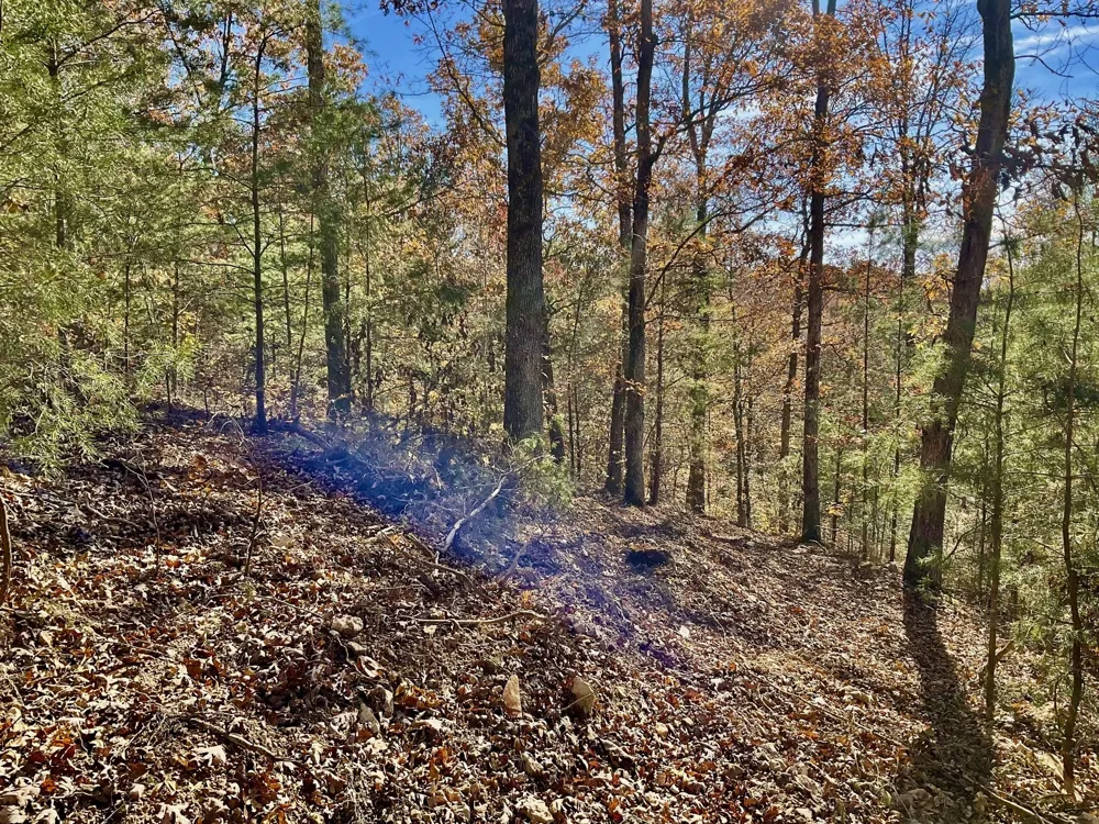 0 Forrest Crossing Waverly, TN 37185