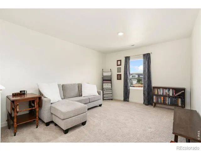 3758 Catmint Street Wellington, CO 80549