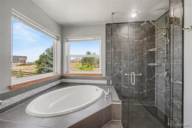 476 Saber Creek Drive Monument, CO 80132