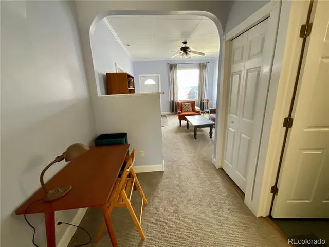 135 Chestnut Street Leadville, CO 80461