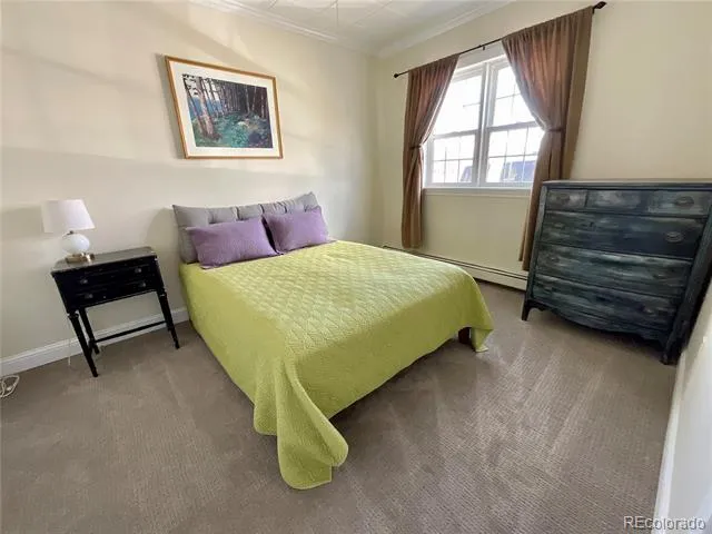 135 Chestnut Street Leadville, CO 80461