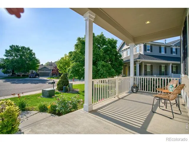 290 Clark Court Windsor, CO 80550