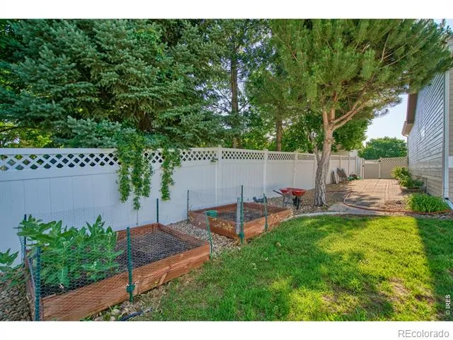 290 Clark Court Windsor, CO 80550