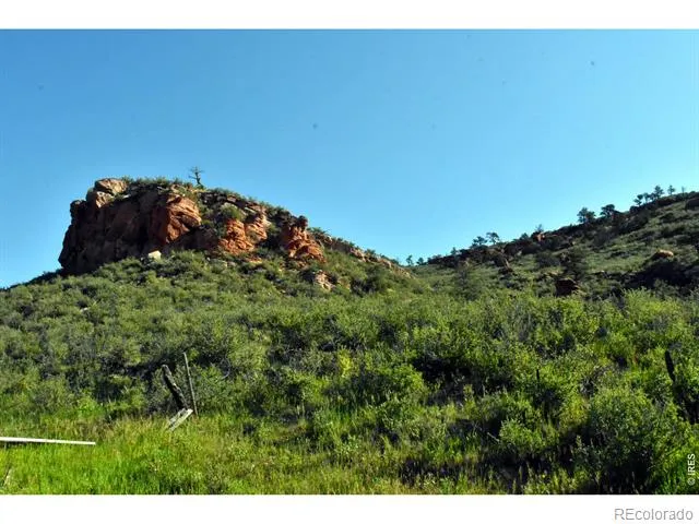 1364 Red Bluff Road Livermore, CO 80536