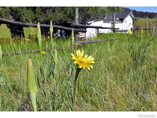 1364 Red Bluff Road Livermore, CO 80536