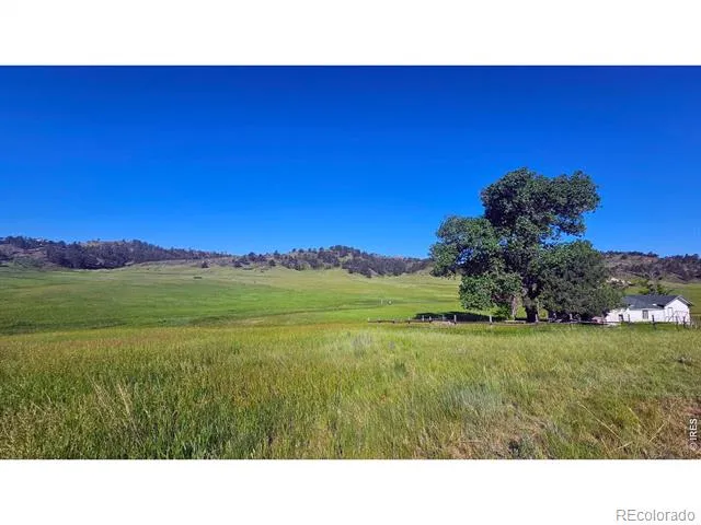 1364 Red Bluff Road Livermore, CO 80536