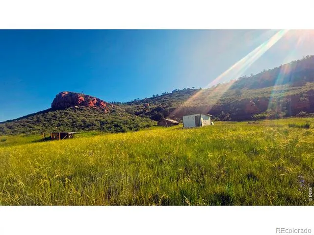 1364 Red Bluff Road Livermore, CO 80536