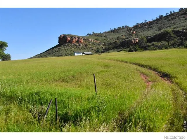 1364 Red Bluff Road Livermore, CO 80536