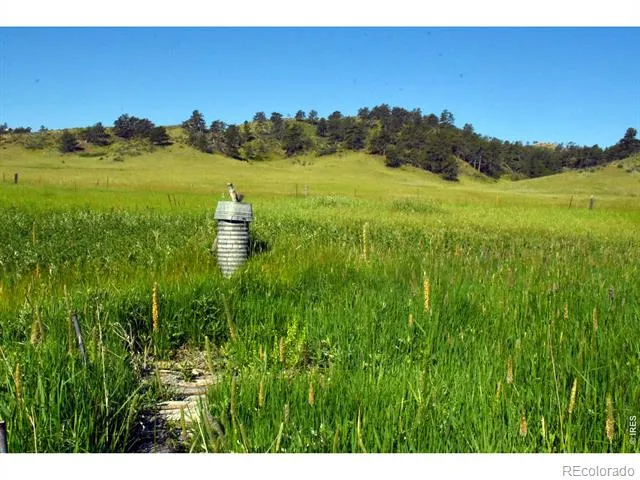 1364 Red Bluff Road Livermore, CO 80536