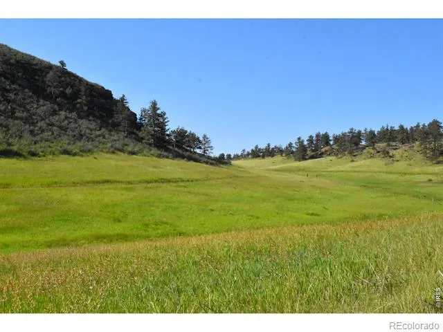 1364 Red Bluff Road Livermore, CO 80536