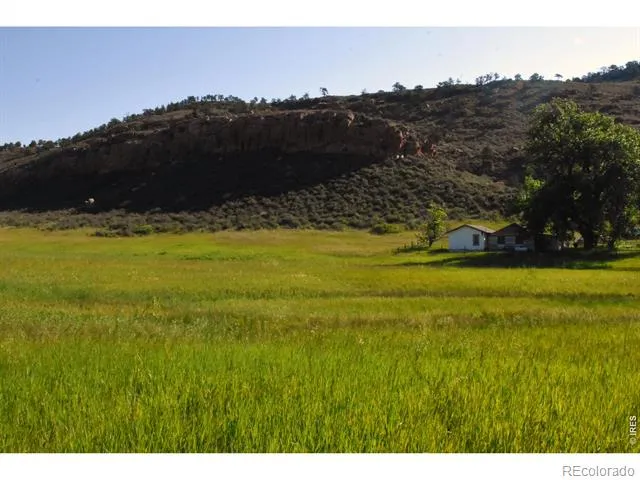 1364 Red Bluff Road Livermore, CO 80536