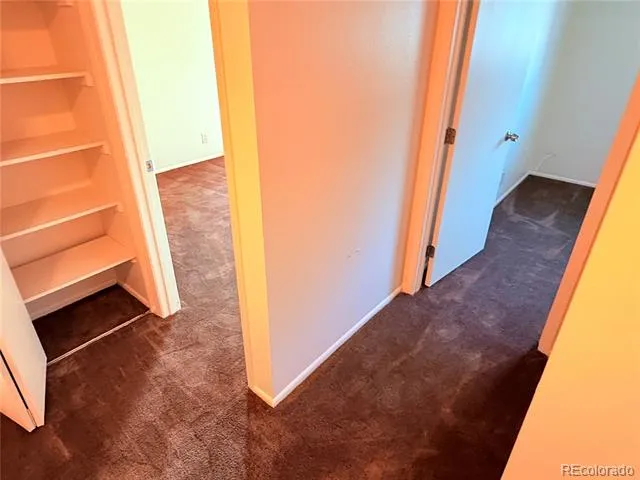 1225 S Oneida Street #254 Denver, CO 80224
