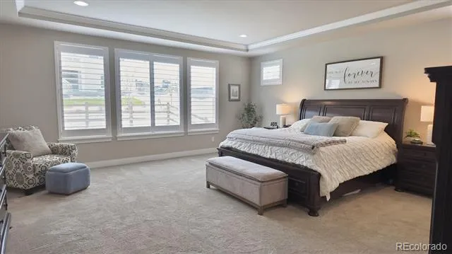 5411 Edenborn Way Castle Rock, CO 80104