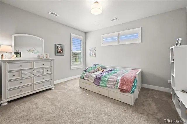 5411 Edenborn Way Castle Rock, CO 80104