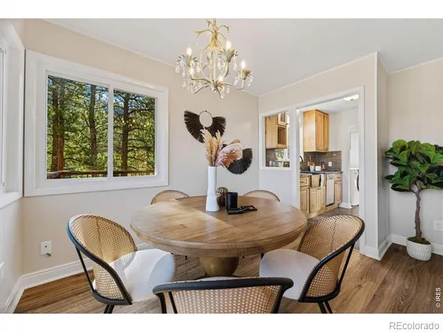 1104 Willow Court Estes Park, CO 80517