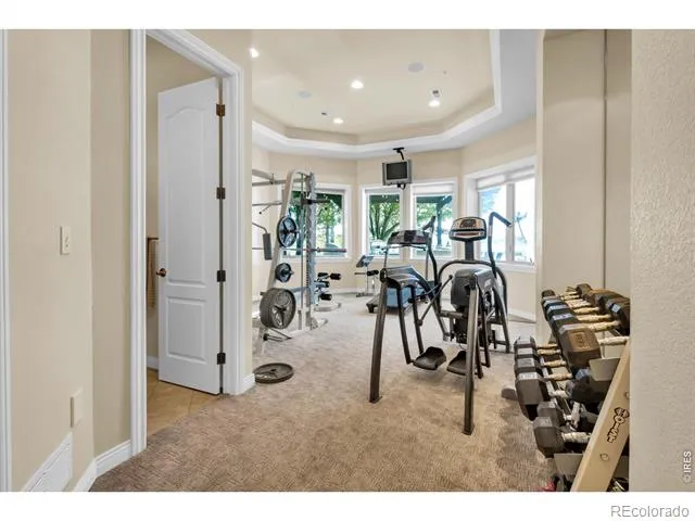6351 Cottonwood Shores Drive Wellington, CO 80549