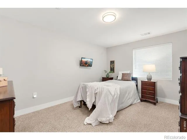 7374 Ocean Ridge Street Wellington, CO 80549