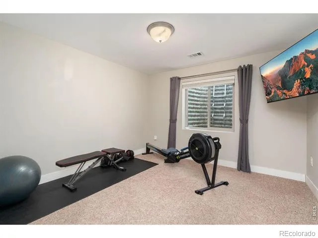 7374 Ocean Ridge Street Wellington, CO 80549