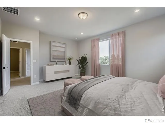 617 Noola Street Windsor, CO 80550