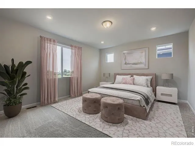 617 Noola Street Windsor, CO 80550
