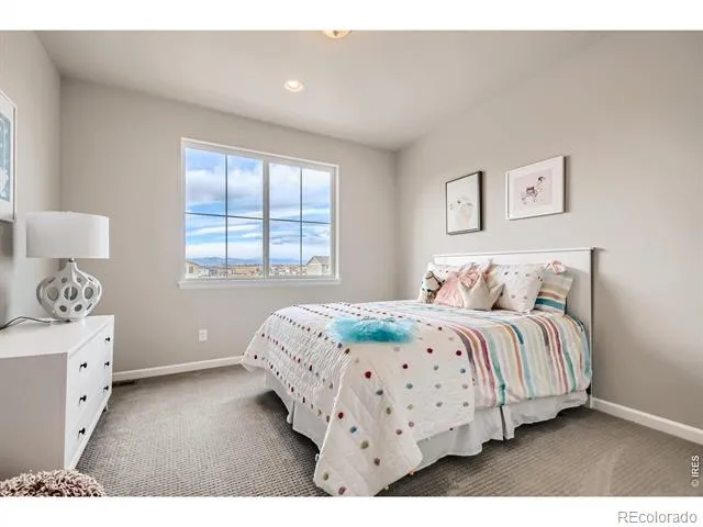 617 Noola Street Windsor, CO 80550