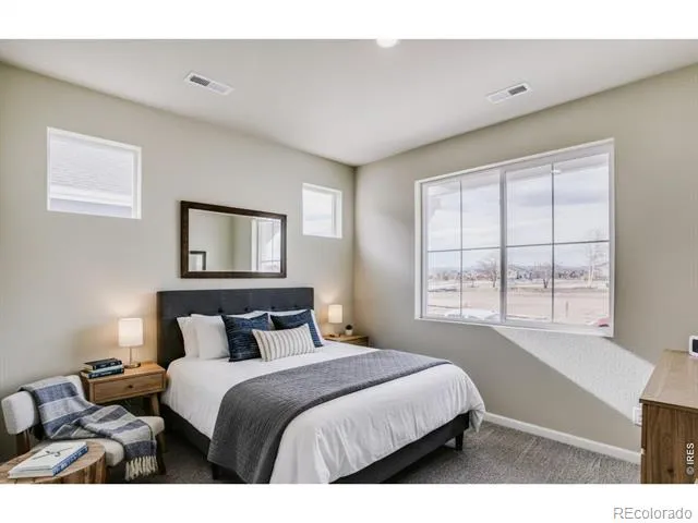 617 Noola Street Windsor, CO 80550