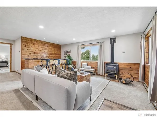 278 Overlook Drive Bailey, CO 80421