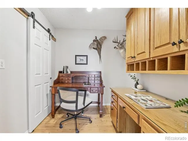 278 Overlook Drive Bailey, CO 80421
