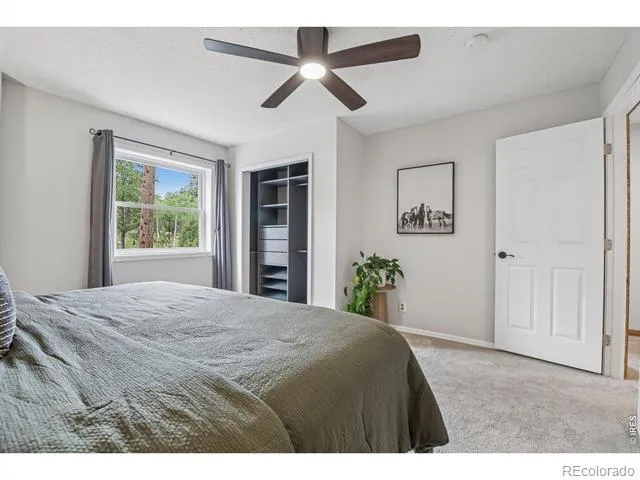 278 Overlook Drive Bailey, CO 80421