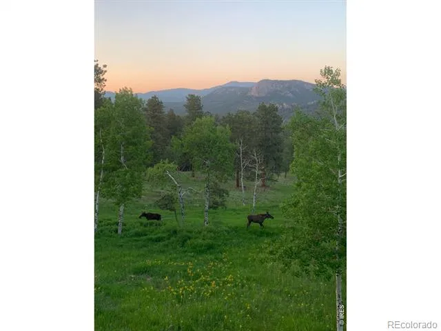278 Overlook Drive Bailey, CO 80421