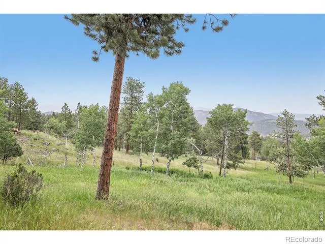 278 Overlook Drive Bailey, CO 80421