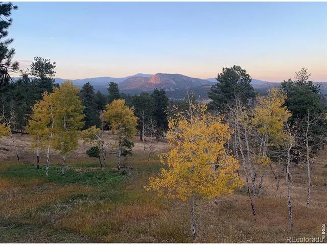 278 Overlook Drive Bailey, CO 80421