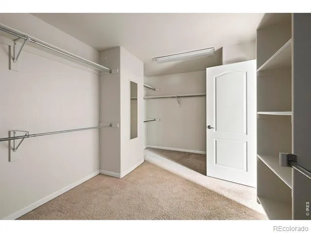 3110 Tradewind Court Loveland, CO 80538