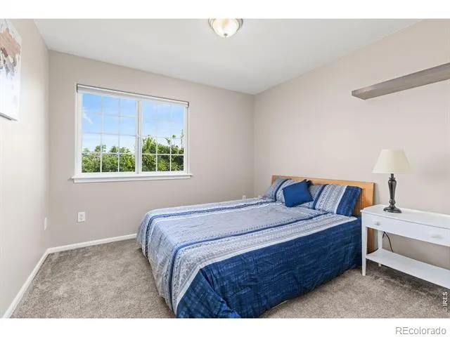 99 Pike Lane Severance, CO 80550
