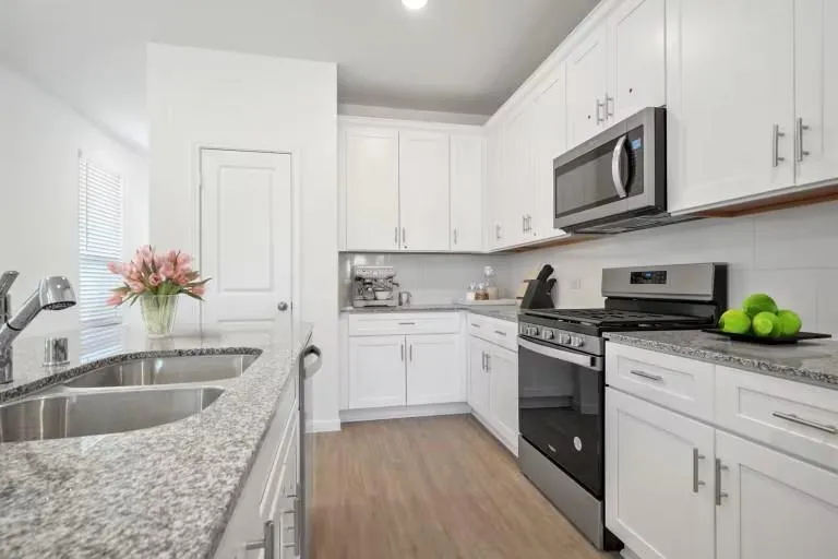 913 Silver Buckle Lane Montgomery, TX 77356