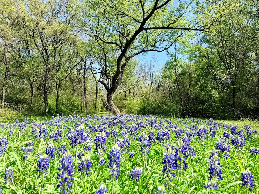 6239 Fm 879 Ennis, TX 75119