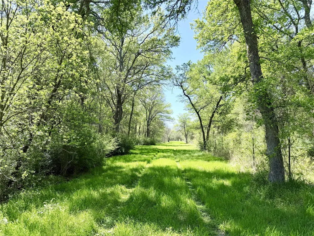 6239 Fm 879 Ennis, TX 75119
