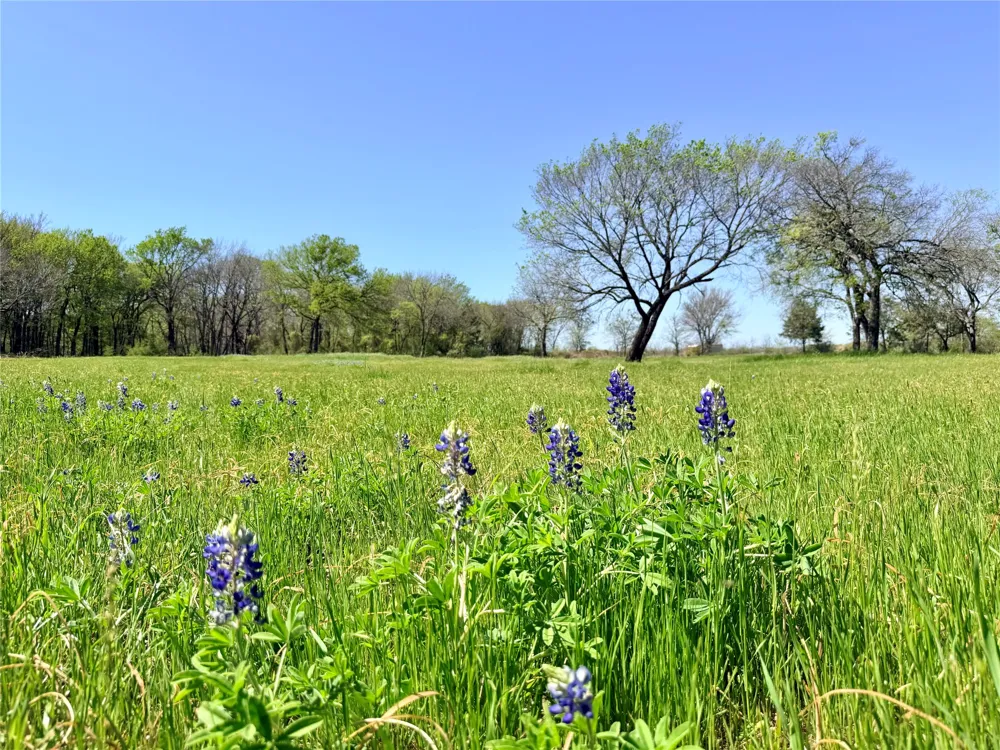 6239 Fm 879 Ennis, TX 75119