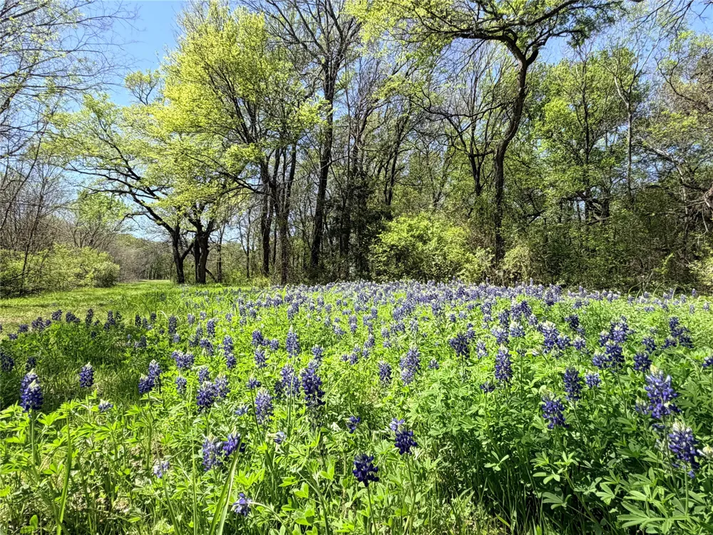 6239 Fm 879 Ennis, TX 75119