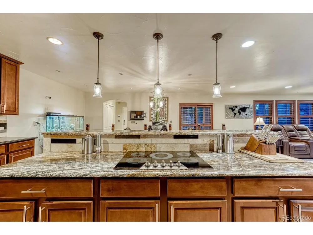 1023 S Locust Street Denver, CO 80224