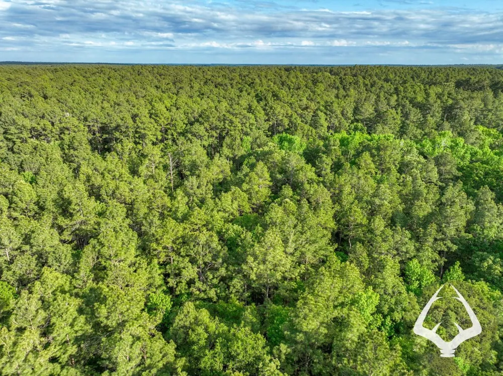 Fm 357 Kennard, TX 75847