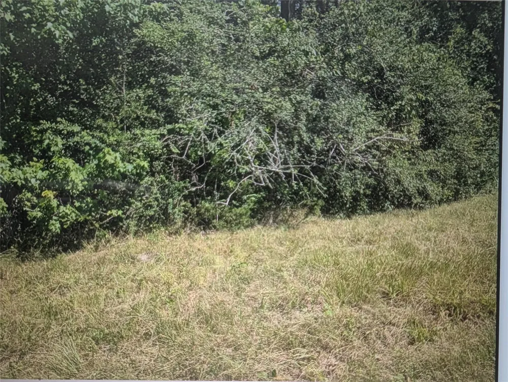 Phillip Cooper Road Corrigan, TX 75939