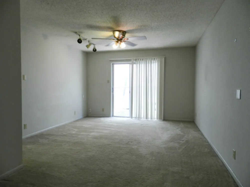 3713 Meredith Street Austin, TX 78703